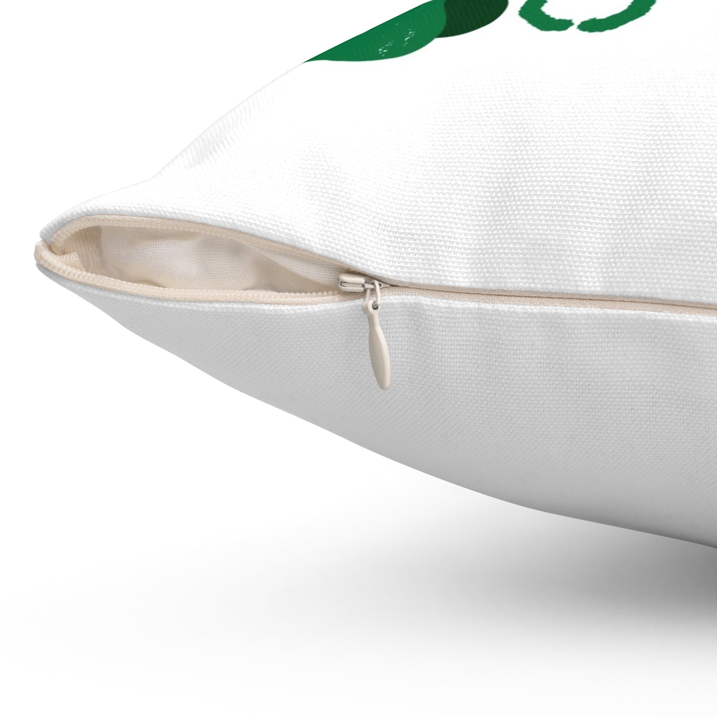 Phila Delphia Football Accent pillow